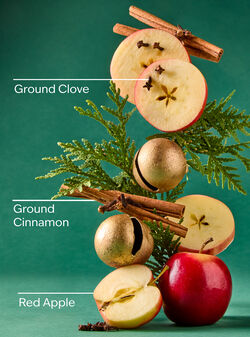 Tis The Season Wallflowers Fragrance Refill image number null