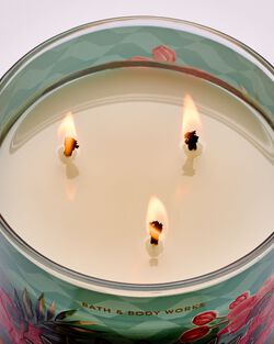 Nến 3 Bấc Warm Ocean Breeze 3-Wick Candle image number null