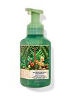 Nước Rửa Tay Tạo Bọt Làm Sạch & Dịu Nhẹ Waikiki Beach Coconut Gentle & Clean Foaming Hand Soap image number null