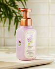 Nước Rửa Tay Tạo Bọt Fresh Cut Lilacs Gentle & Clean Foaming Hand Soap image number null