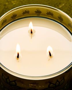 Nến 3 Bấc Tiana 3-Wick Candle image number null