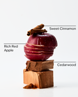 Tis The Season Car Fragrance Refill image number null