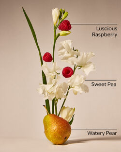 Sữa Tắm Sweet Pea Body Wash image number null