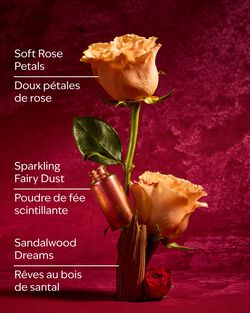 Tinh Dầu X&ocirc;ng Ph&ograve;ng Aurora Wallflowers Fragrance Refill image number null