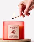 Nến 3 Bấc Honeycrisp Apple 3-Wick Candle image number null