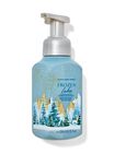 Nước Rửa Tay Tạo Bọt Làm Sạch & Dịu Nhẹ Frozen Lake Gentle & Clean Foaming Hand Soap image number null