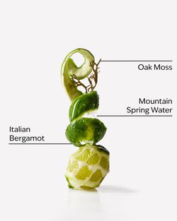 Freshwater Cologne image number null