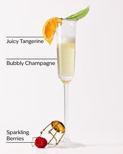 Champagne Toast Gentle & Clean Foaming Refill image number null