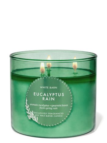 Eucalyptus Rain 3-Wick Candle Nến 3 tim Eucalyptus Rain 3-Wick Candle