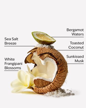 At The Beach Travel Size Conditioner Travel Size Conditioner