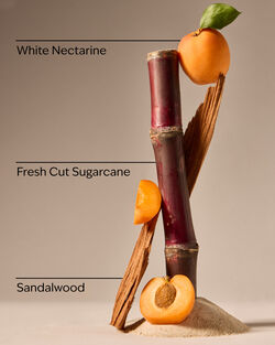 Fiji White Sands 3-Wick Candle image number null