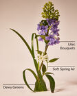 Nến 3 Bấc Fresh Cut Lilacs 3-Wick Candle image number null