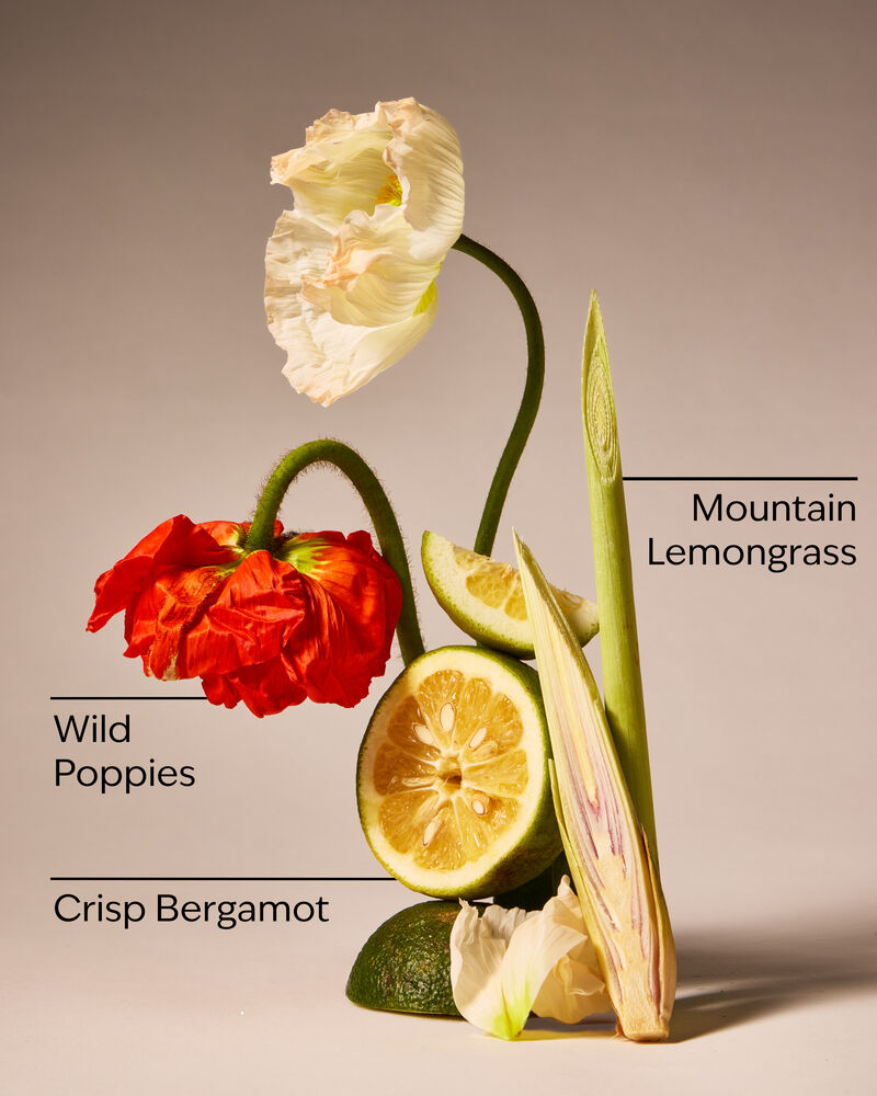 Nến 3 Bấc Mountainside Wildflower 3-Wick Candle 3-Wick Candle