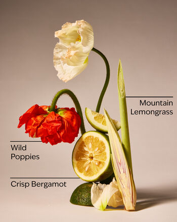 Nến 3 Bấc Mountainside Wildflower 3-Wick Candle 3-Wick Candle