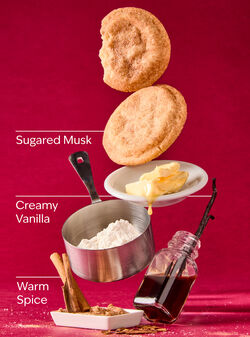 Sugared Snickerdoodle Wallflowers Fragrance Refill image number null