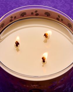 Nến 3 Bấc Rapunzel 3-Wick Candle image number null