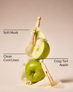 Tinh Dầu X&ocirc;ng Ph&ograve;ng Sun-Drenched Linen Wallflowers Fragrance Refill image number null