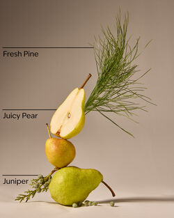 Nước Rửa Tay Tạo Bọt L&agrave;m Sạch & Dịu Nhẹ Crisp Morning Air Gentle & Clean Foaming Hand Soap image number null