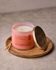 Nến 3 Bấc Pumpkin & Salted Toffee 3-Wick Candle image number null