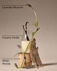 Lavender Vanilla Body Wash and Foam Bath image number null