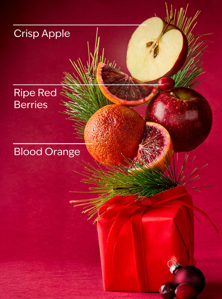 Bright Christmas Morning Body Wash Body Wash