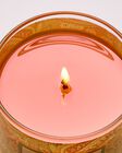 Nến 1 Bấc Peach Blossom & Nectar Single Wick Candle image number null
