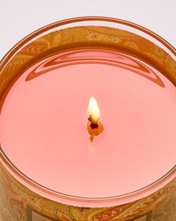 Nến 1 Bấc Peach Blossom & Nectar Single Wick Candle image number null