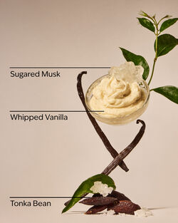 Xịt Thơm Cao Cấp Mini Size Wild Vanilla Travel Size Fine Fragrance Mist