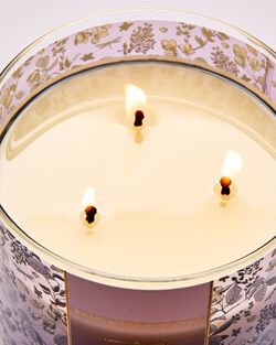 Nến 3 Bấc Fresh Cut Lilacs 3-Wick Candle image number null
