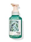 Frozen Lake Gentle & Clean Foaming Hand Soap image number null