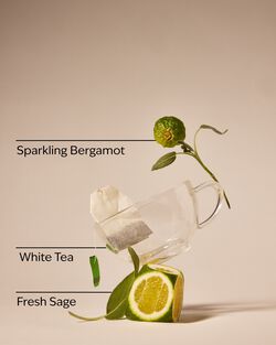 Nước Rửa Tay Tạo Bọt White Tea & Sage Gentle & Clean Foaming Hand Soap image number null