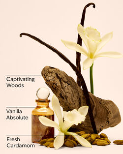 Sữa Tắm Vanilla Romance Body Wash image number null