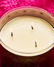 Nến 3 Bấc Aurora 3-Wick Candle image number null