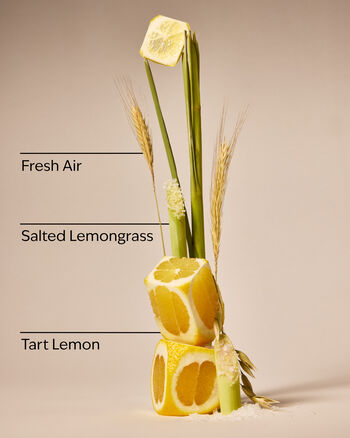 Laundry Room Lemon Single Wick Candle Single Wick Candle