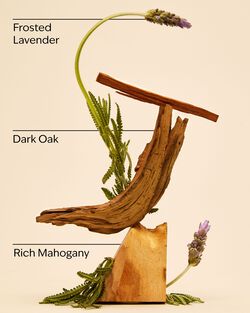 Nến 3 Bấc Mahogany Teakwood 3-Wick Candle image number null