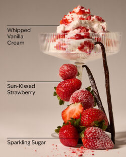 Strawberry Lover Wallflowers Fragrance Refill image number null