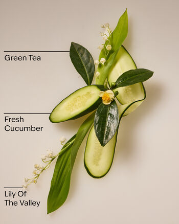 Nước Rửa Tay Dưỡng Ẩm Cucumber & Lily Daily Moisturizing Hand Soap Daily Moisturizing Hand Soap