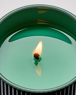 Nến 1 Bấc White Tea & Sage Single Wick Candle image number null
