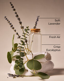 Tinh Dầu X&ocirc;ng Ph&ograve;ng Laundry Day Wallflowers Fragrance Refill image number null