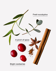 Xịt Ph&ograve;ng Đậm Đặc Cranberry & Eucalyptus Concentrated Room Spray image number null