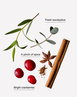 Xịt Ph&ograve;ng Đậm Đặc Cranberry & Eucalyptus Concentrated Room Spray