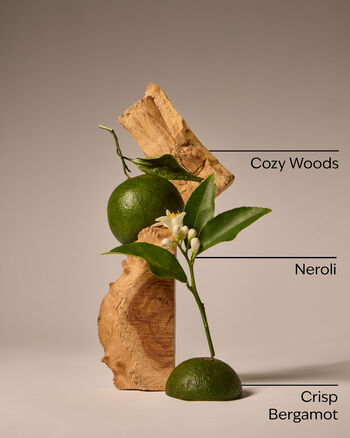 Nến 1 Bấc Book Loft Single Wick Candle Nến 1 Bấc