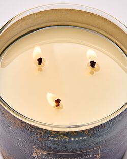 Nến 3 Bấc Mountainside Wildflower 3-Wick Candle image number null