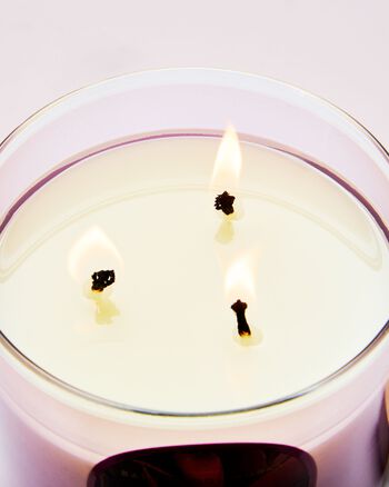 Nến 3 Bấc Chocolate Covered Berries 3-Wick Candle 3-Wick Candle