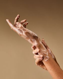 Nước Rửa Tay Tạo Bọt Aurora Gentle & Clean Foaming Hand Soap image number null