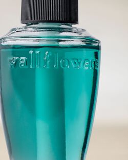Tinh Dầu X&ocirc;ng Ph&ograve;ng Canopy Dreams Wallflowers Fragrance Refill image number null