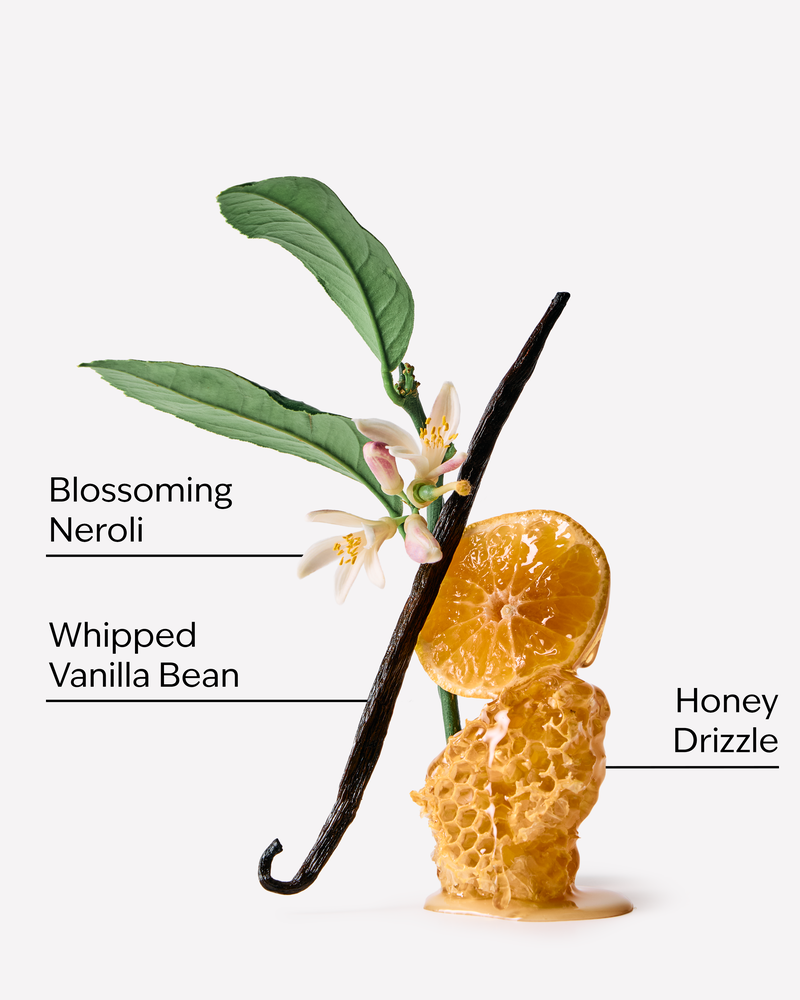 Nến 1 Bấc Whipped Honey & Vanilla Single Wick Candle Single Wick Candle