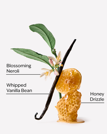 Nến 1 Bấc Whipped Honey & Vanilla Single Wick Candle Single Wick Candle