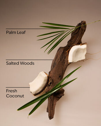 Xịt Thơm Cao Cấp Mini Size Coconut Nectar Travel Size Fine Fragrance Mist Travel Size Fine Fragrance Mist