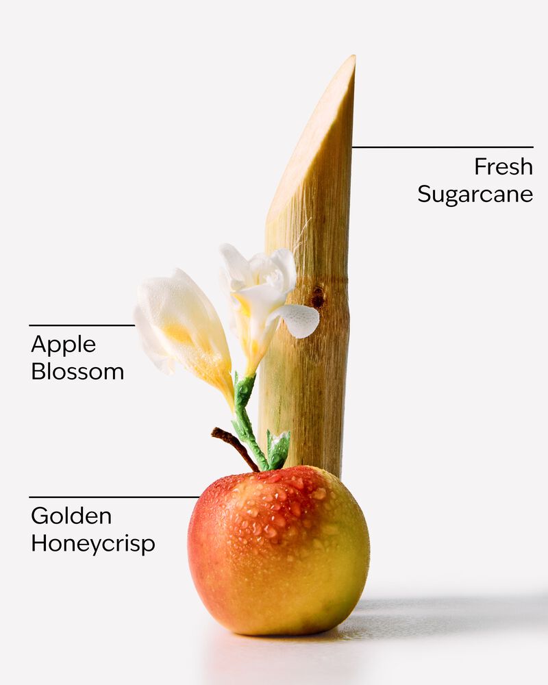 Nến 3 Bấc Honeycrisp Apple 3-Wick Candle Nến 3 Bấc